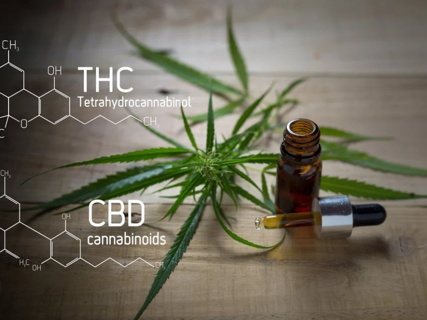 Cannabinoid Profile — HPLC-UV