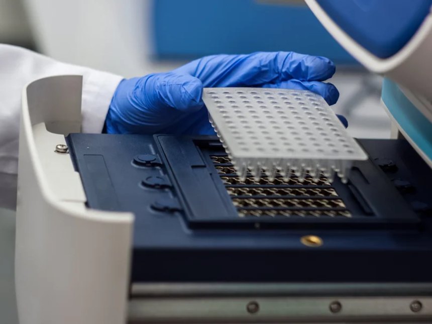 Microbial Screen — PCR and Plating